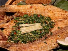香茅草烤鱼-松茸小馆·云南特色餐厅
