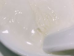 双皮奶-义顺牛奶公司(新马路老店)
