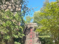 -汤旺河林海奇石景区