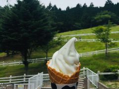 -神户市立六甲山牧场