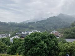 -龙井村