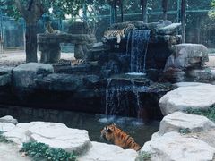 -上海野生动物园