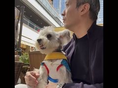 -上海来福士广场