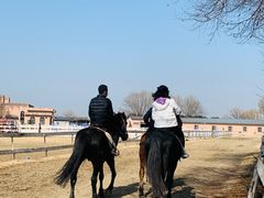 -太阳岛度假酒店