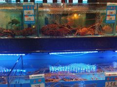 -阿伟海鲜楼·福建菜(延寿店)