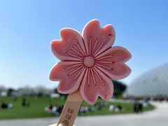 -上海辰山植物园
