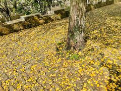 -虞山风景区