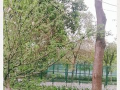 -东坡羽毛球馆(东坡南一路店)