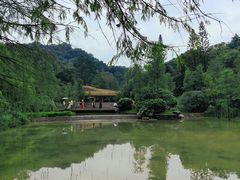 -云溪植物园
