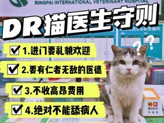 -瑞派动物医院·猫专科·至诚(江南中分院)