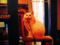 -Babycat私家御饼屋(龙头路一店)