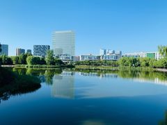 -大兴滨河森林公园