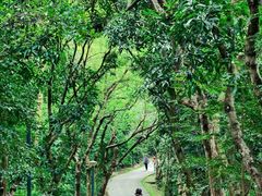 -燕晗山郊野公园