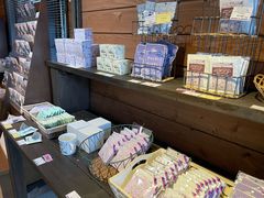 -富田农场