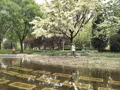 -泰丰公园