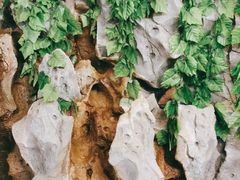 -长春宾馆·丽豪浴都