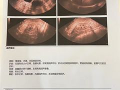 -格蕾宠物医院24H·猫科·肿瘤科·骨科中心(福州总院)