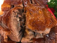 -椿记烧鹅(叠彩店)