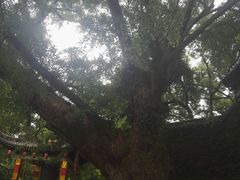 -无锡惠山寺
