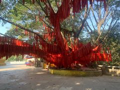 -西双版纳勐泐文化旅游区