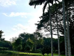-中国科学院西双版纳热带植物园