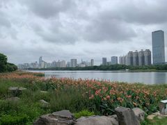 -南宁南湖公园