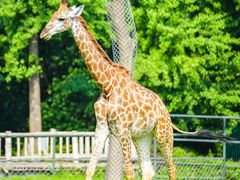 -常州淹城野生动物世界