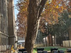 -CrossFit MET综合体能训练馆(朝阳路店)