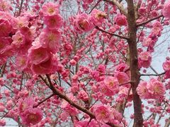 -桤木河湿地公园