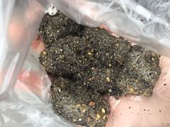 -叶氏麻糍(鼓浪屿店)