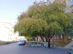 -辽宁大学(崇山校区)