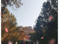 -颐和园