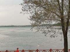 -丁香湖公园