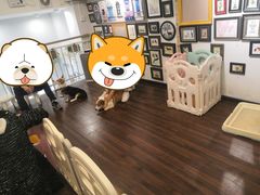 -柯斗斗主题餐厅·狗咖·围炉煮茶·茶饮(国瑞升平里店)