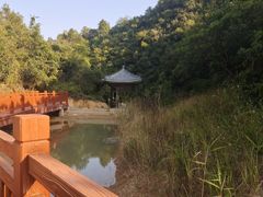 -张钰强中医正骨推拿连锁(唐家人才公寓店)