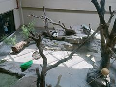 -宁波野生动物园