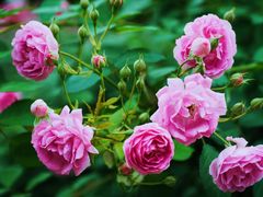 -苏州河梦清园环保主题公园