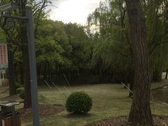 -东方绿舟景区
