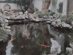 -鲤院·新中式美学·庭院餐厅(夫子庙店)