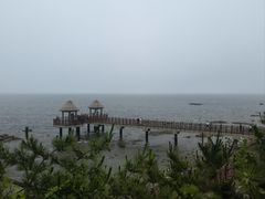 -养马岛旅游度假区