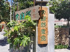 -大自然素食(望桐路店)