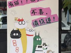 -豆逗聊愈猫阁Easy Life
