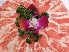 -悦见花开·花园里的火锅·露营·下午茶