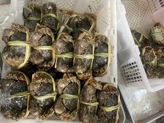 -蟹天蟹地农家菜·阳澄湖大闸蟹(浅水湾店)