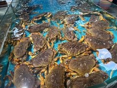 -宝燕海鲜(好爱店)