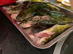 -荣德灶台鱼(圣泉寺店)