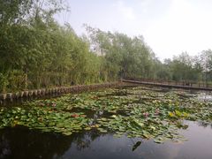 -绿堤公园