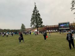 -黄海国家森林公园