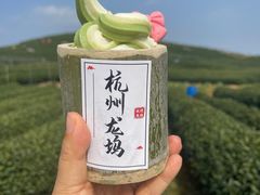 -龙坞茶村