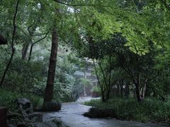 -宋宴(虎跑店)